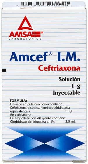 Amcef ampolleta IM 1 g